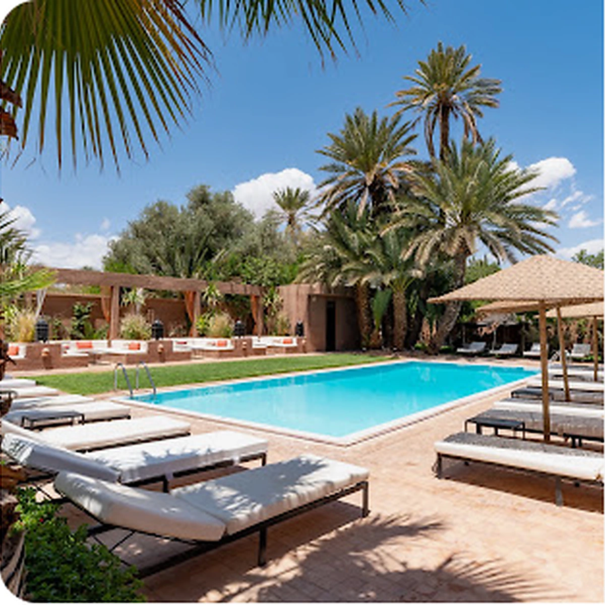Curated Moroccan stay with pool and palm garden