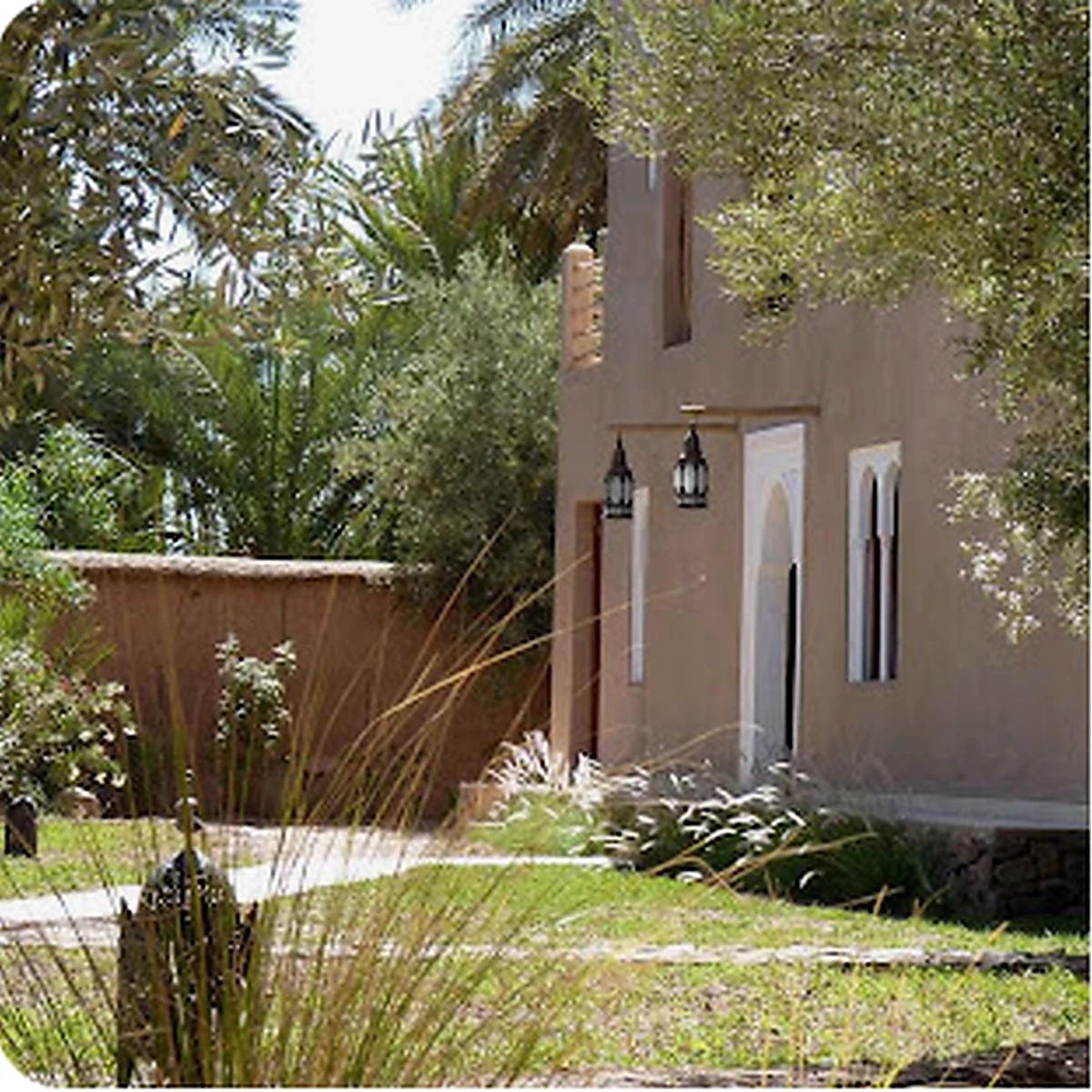 Curated oasis lodge surrounded by greenery
